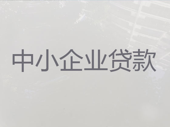 泰安企业信用贷款中介